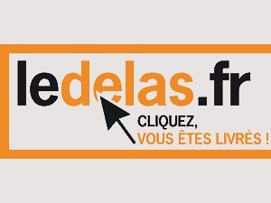 logo LEDELAS.fr fond gris