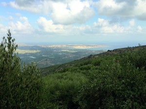 Vue sur Sitia depuis la plantation familiale de Dimitri