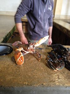 homard breton fruits de mer