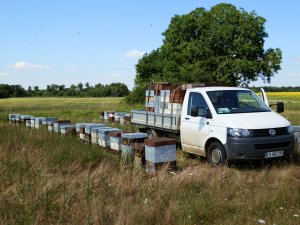 Ferme Apicole Billard