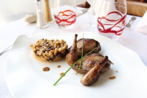 Pigeon ramier en deux cuissons, tarte fine aux morilles et coquillettes