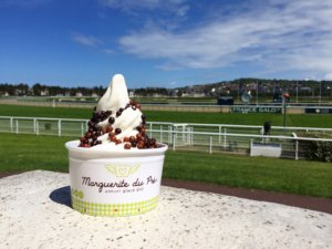 Yaourt glacé normand BIO 0% "Marguerite du Pré"