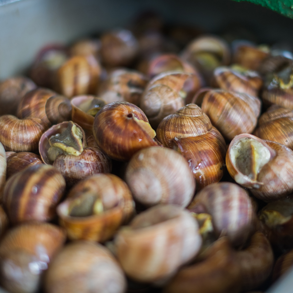 escargots de bourgogne