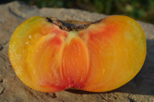 TOMATE O CŒUR : Pur Jus de Tomate BIO des Pyrénées